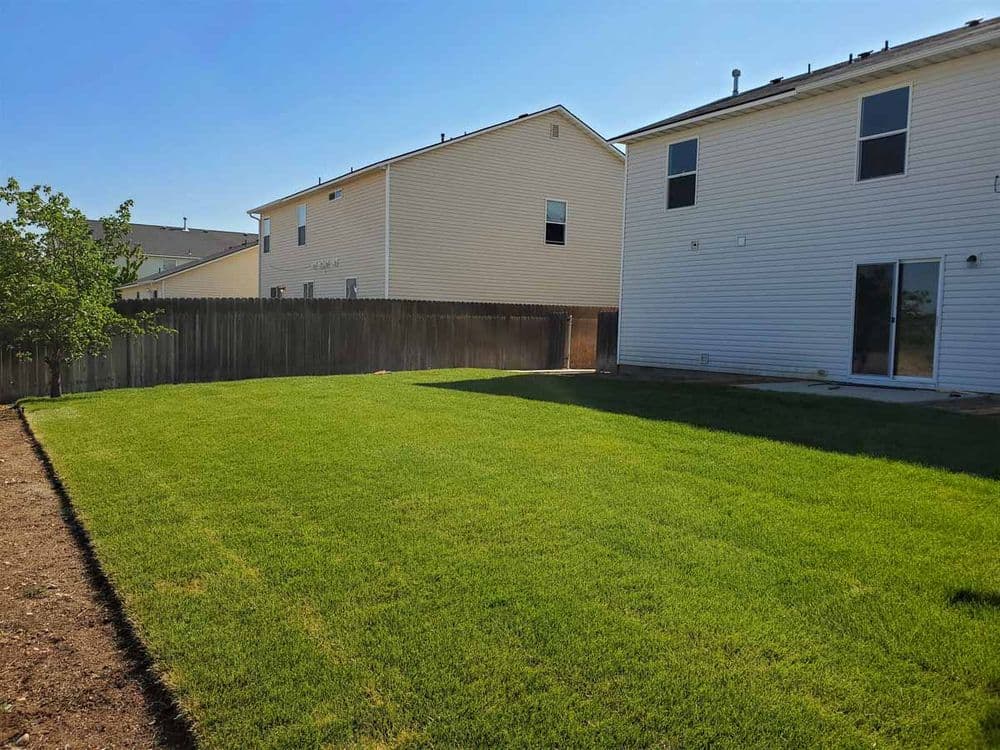 Residential Backyard Landscape Installation