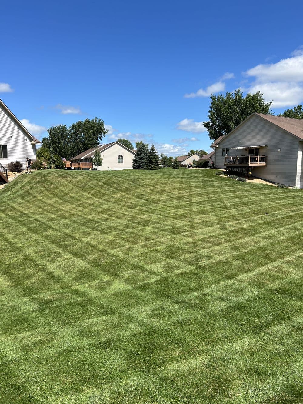 Precision Lawn Stripes