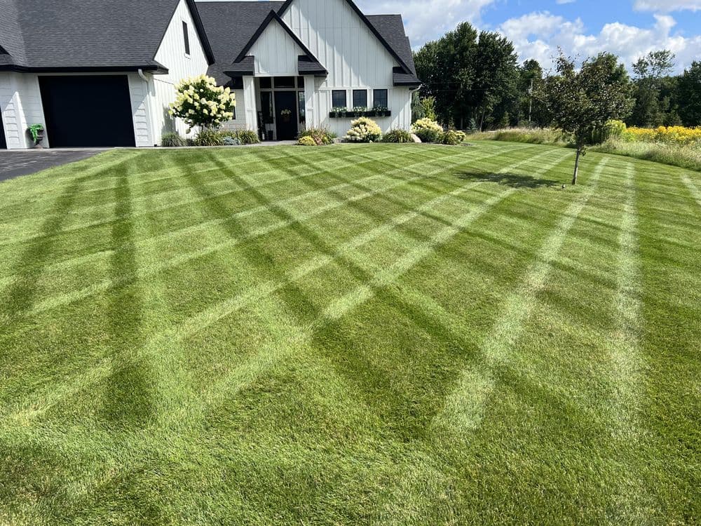 Precision Lawn Stripes